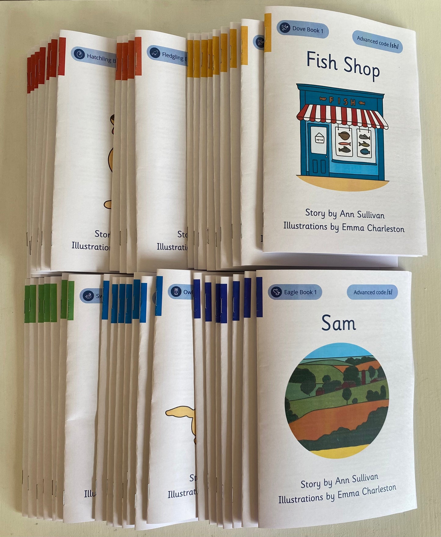 Complete Phonics for SEN Decodable Set