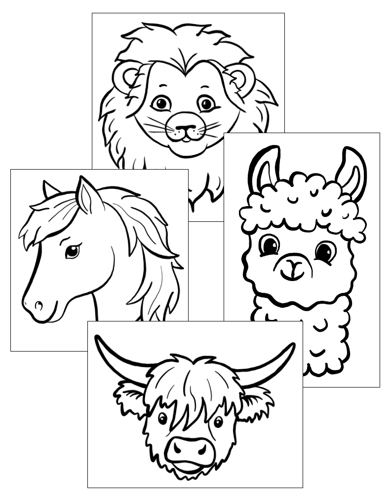 Animal Outlines