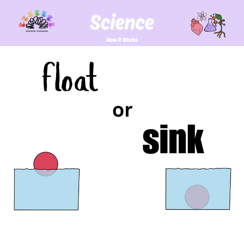 Float or Sink