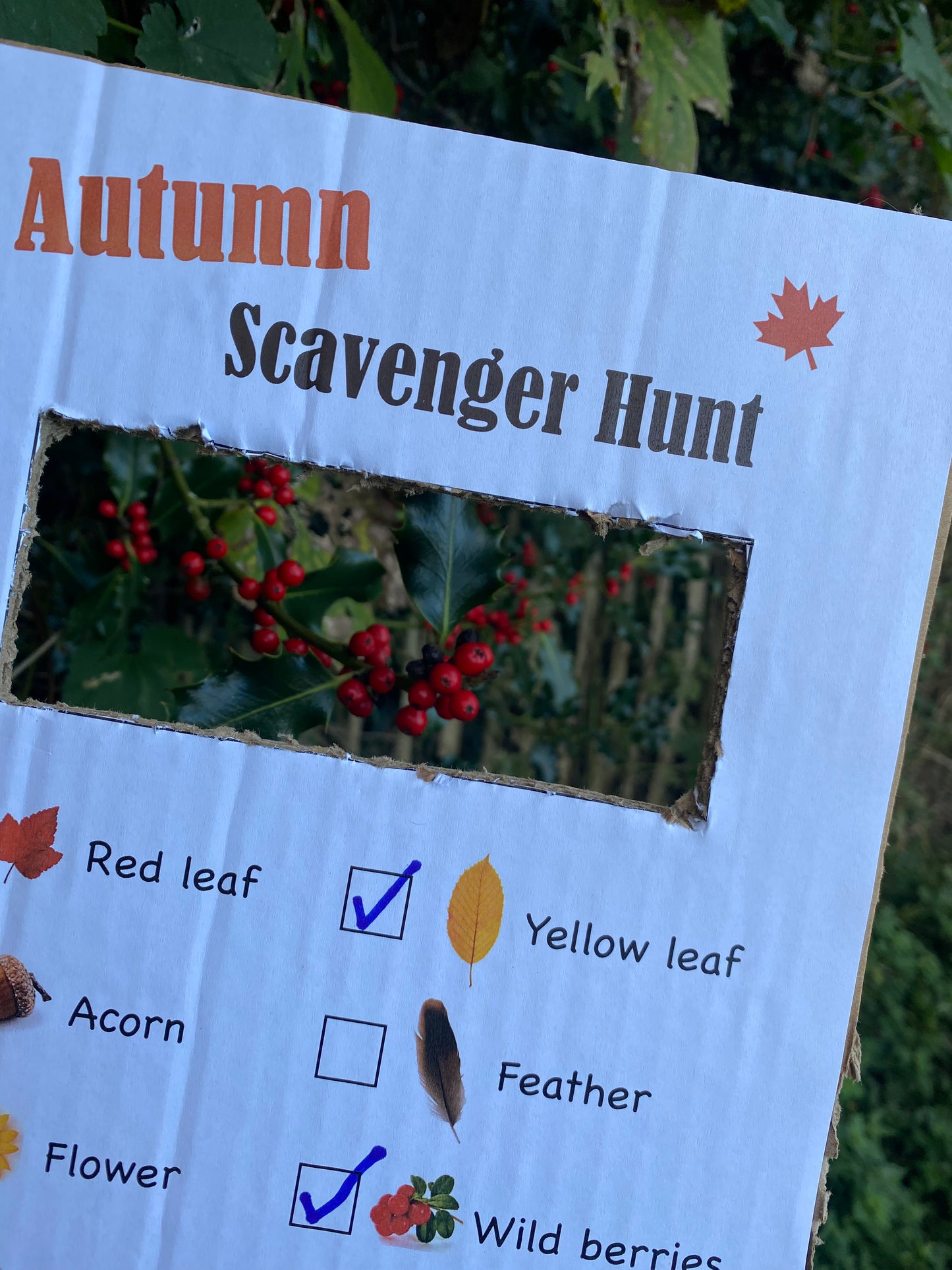 Autumn Scavenger Hunt