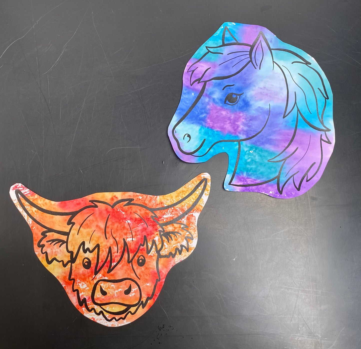 Animal Outlines