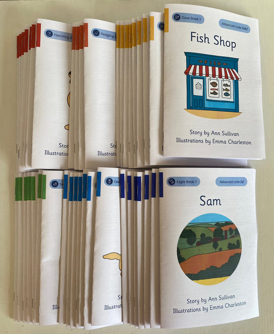 Complete Phonics for SEN Decodable Set
