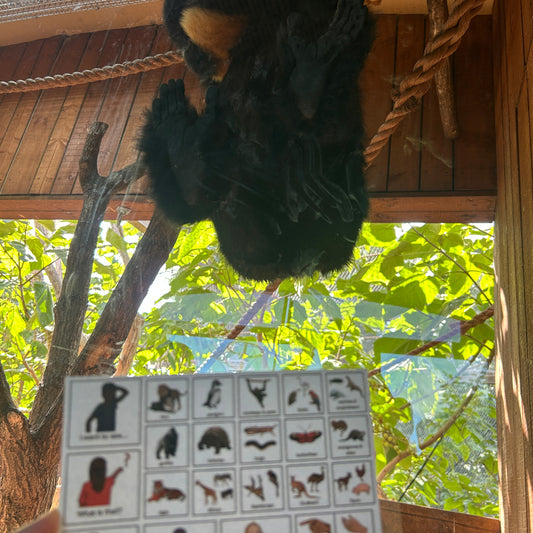 London Zoo Communication