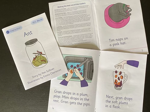 Fledgling Decodable Readers Set 2