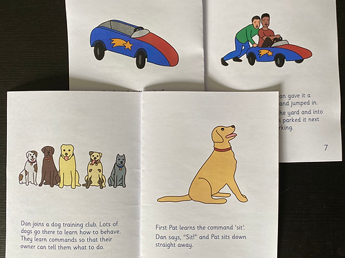 Owl Decodable Readers Set 5