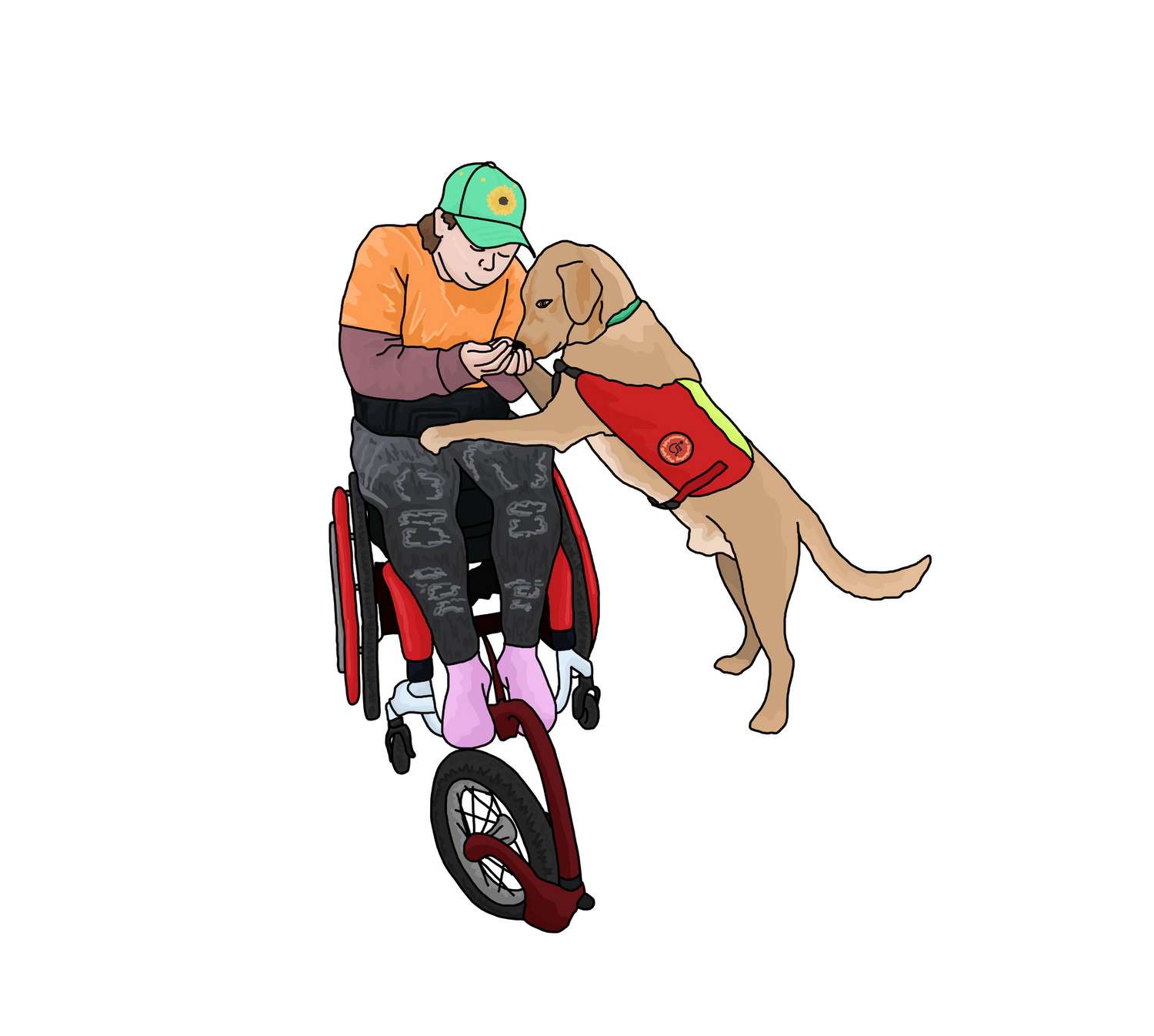 An illustration of Chloe Hammond, a white woman with brow hair, is sat in a wheelchair with an attached  track wheel. Her service dog Ocho has his paws on her lap and is  eating a treat out of her hand.